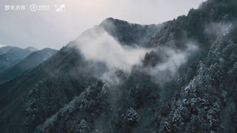 w66最老牌木作 静奢系列